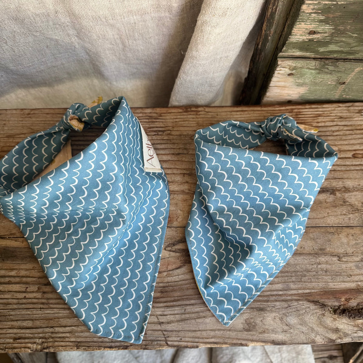 ONDA -  BANDANA PER CANI - V. Natural Lab
