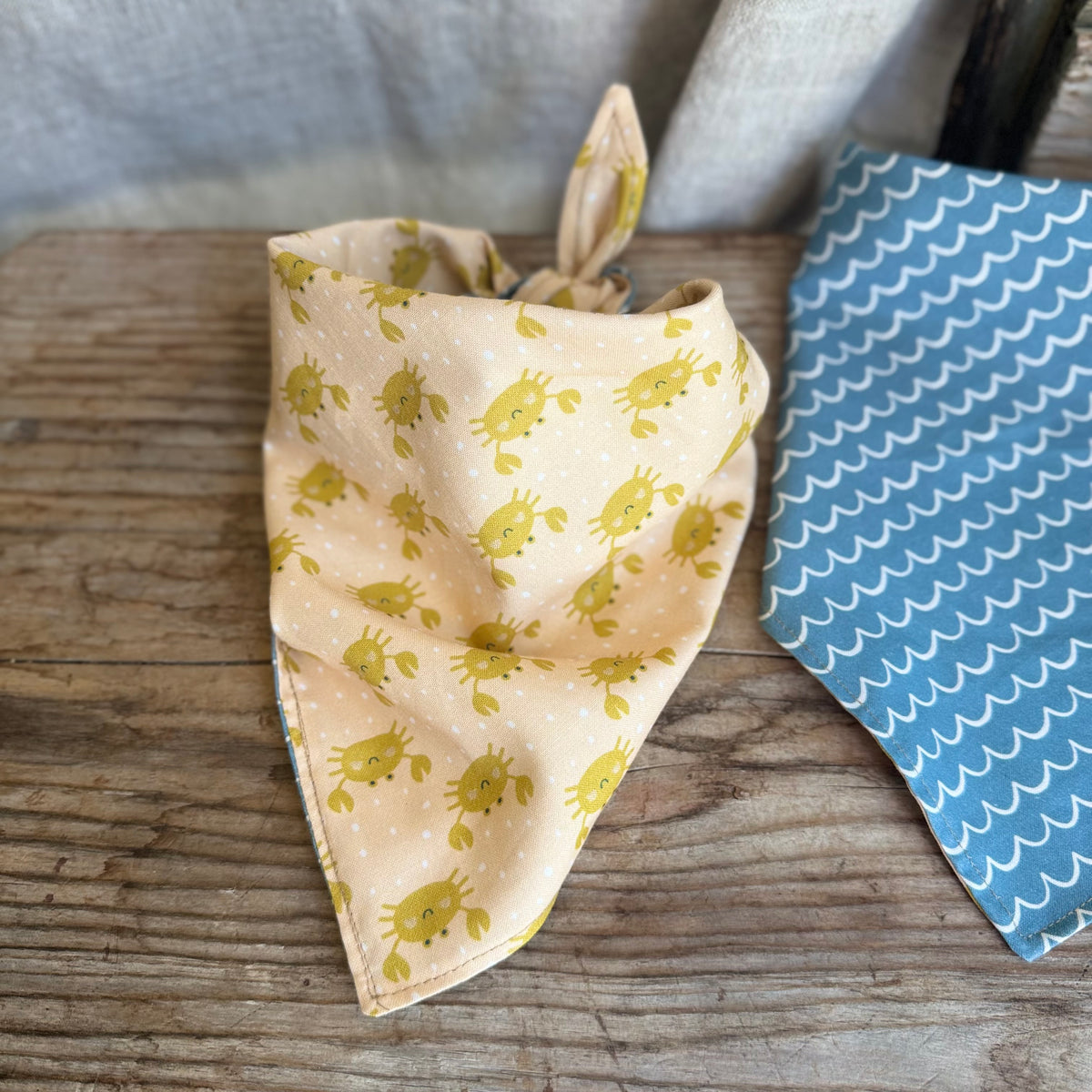 ONDA -  BANDANA PER CANI - V. Natural Lab