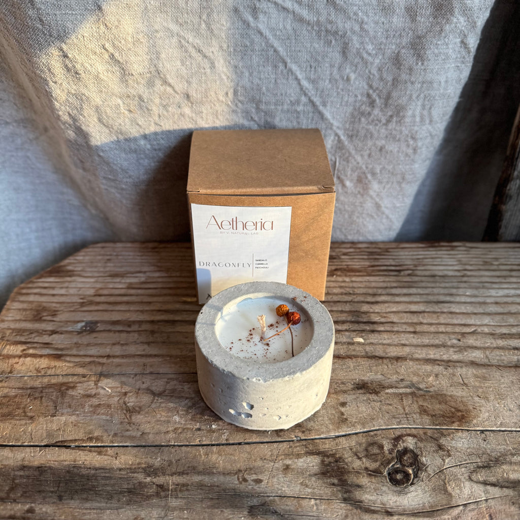 DRAGONFLY - V. Natural Lab